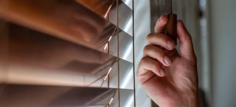 Double Roller Blinds in Richmond, CA