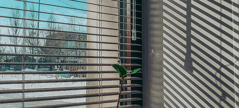 Commercial Window Blinds in Richmond, CA