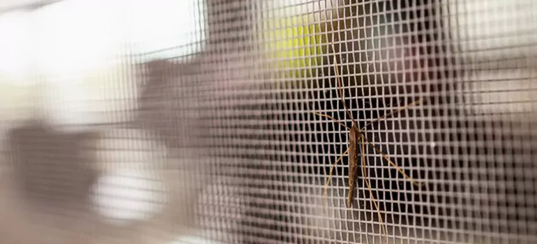 Repair Mosquito Mesh For Windows in Richmond, CA