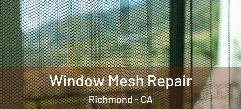  Window Mesh Repair Richmond - CA