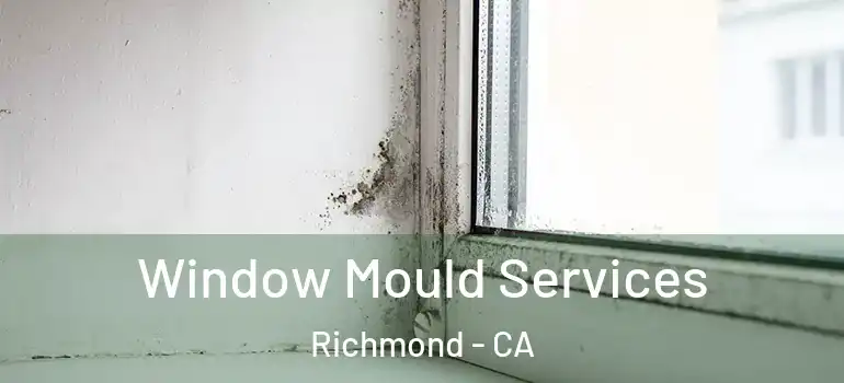  Window Mould Services Richmond - CA